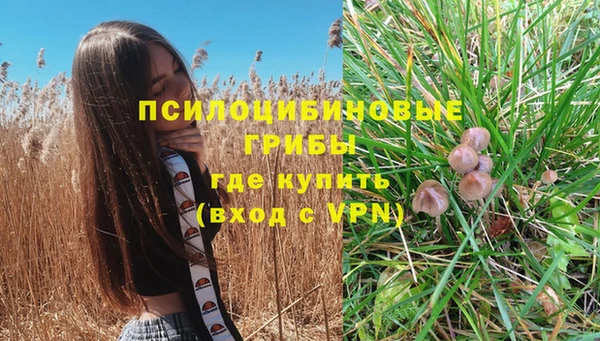 спайс Алексин