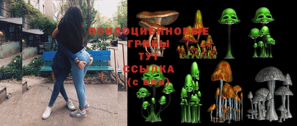 спайс Алексин
