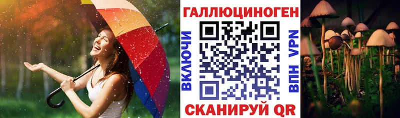 купить наркотик  Полысаево  Псилоцибиновые грибы Psilocybe 